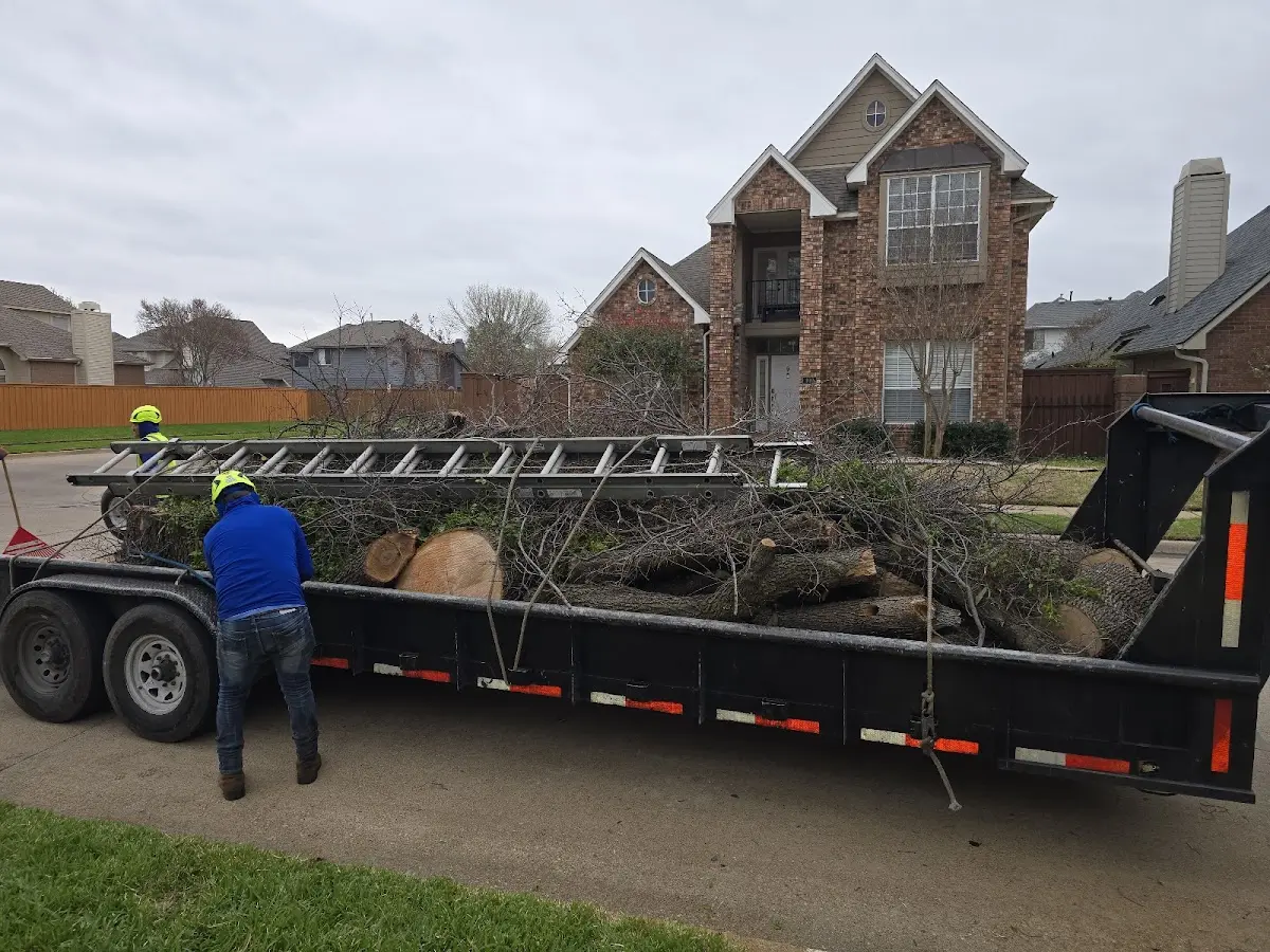 Expert Crown Reduction with proper safety equipment in Plum Branch